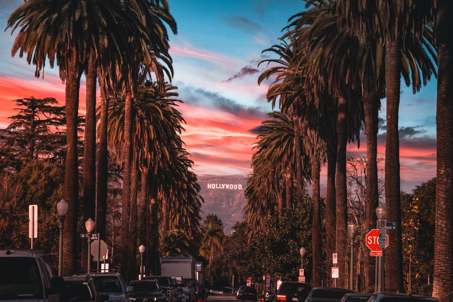 People sitting on chairs near palm trees during night time