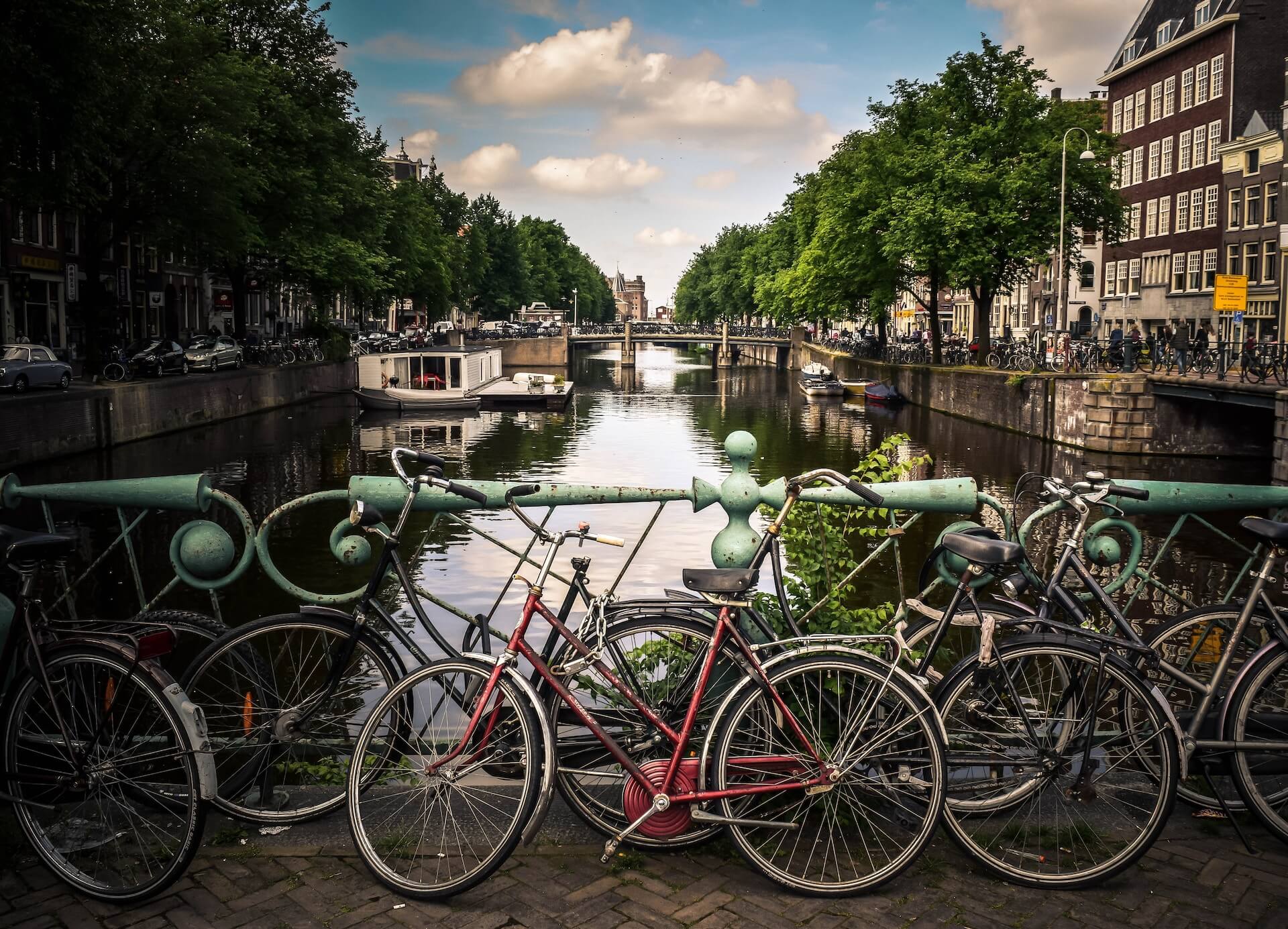 Assorted-color bicycles park beside blue rails near river
