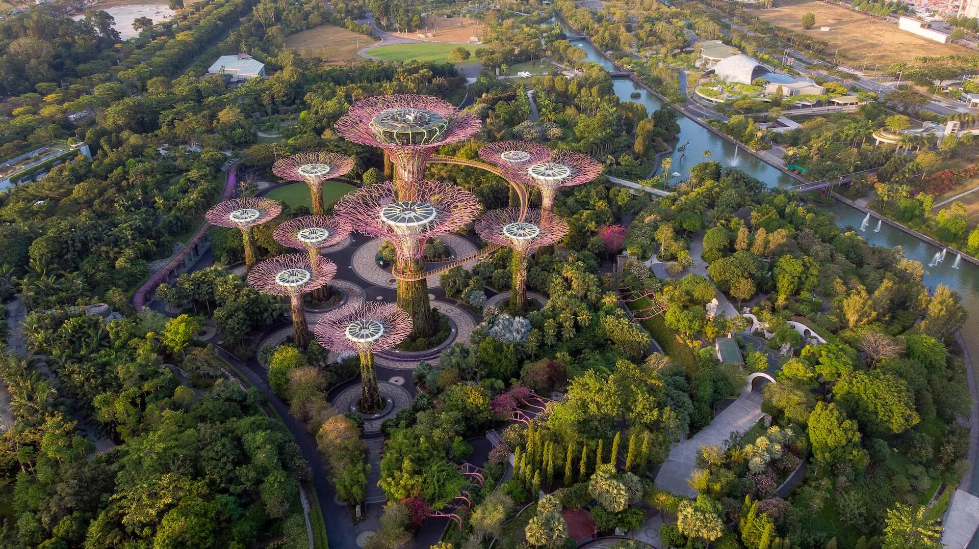 Aerial view of trees, river, and architectural landmark